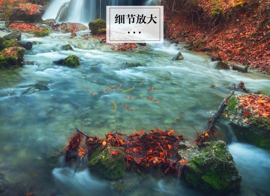 我的英雄学院
